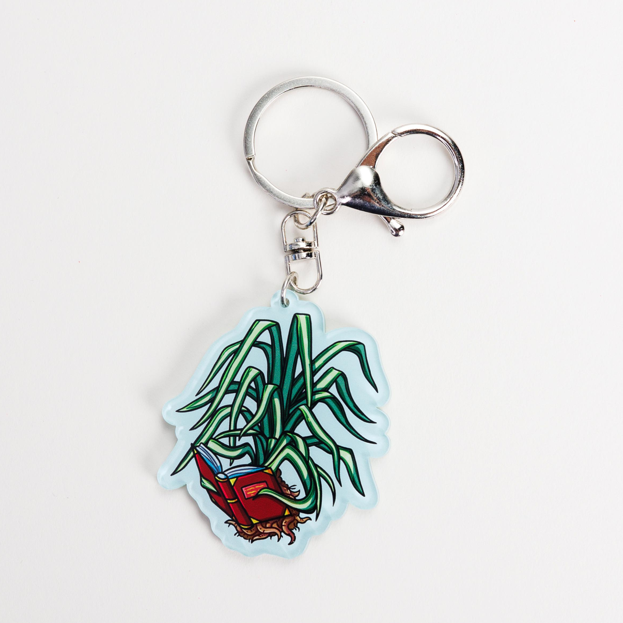 Caz the Spider Plant Reading Keychain - The Spellshop | KoT