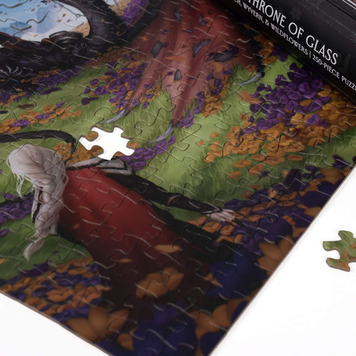 Close up of completed puzzle of Manon & Abraxos from Throne of Glass with one piece missing.