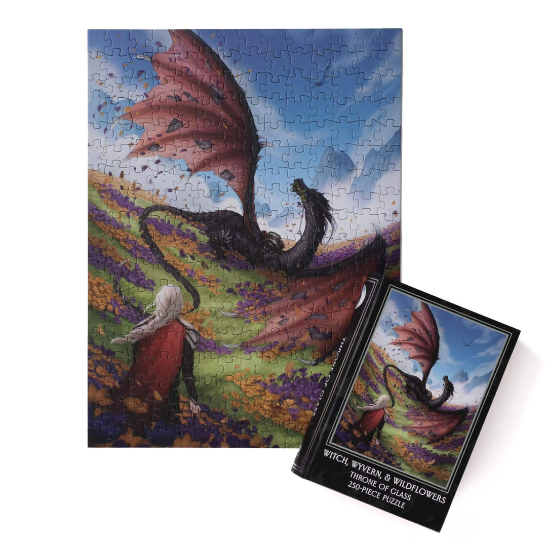 Full completed puzzle of Manon and Abraxos and black, book-shaped box for Witch, Wyvern & Wildflowers Throne of Glass 250-piece puzzle. 