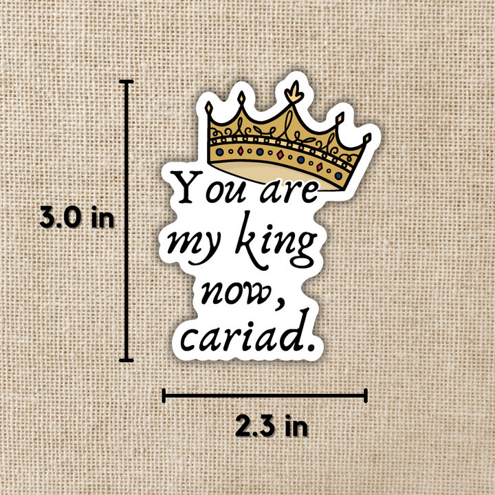 You Are My King Sticker | Legendborn